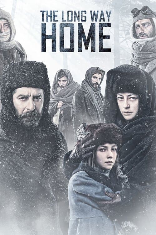 The Long Way Home (2013) poster