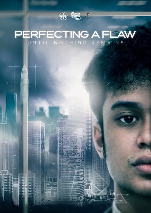Perfecting A Flaw Until Nothing Remains poster