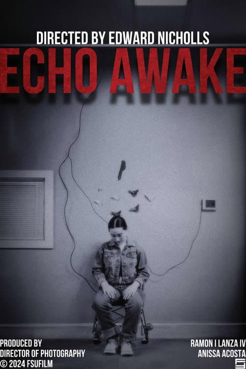 Echo Awake (2024) poster