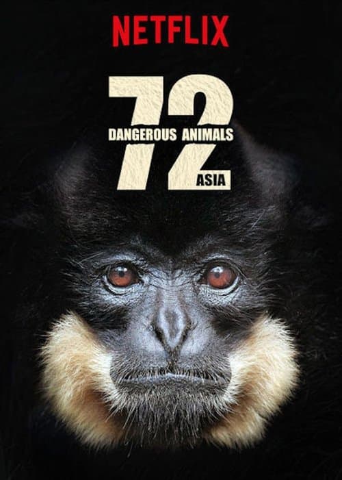 72 Dangerous Animals: Asia (2018) poster