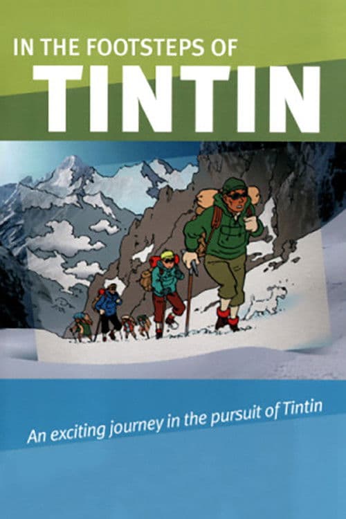 In the Footsteps of Tintin (2010) poster
