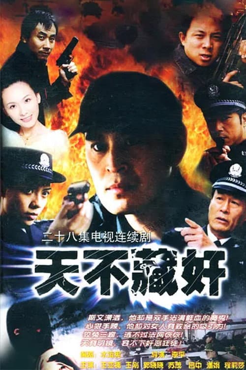 天不藏奸 (2004) poster