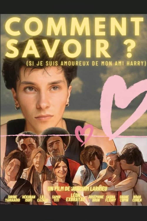 How Do I Know? (2024) poster