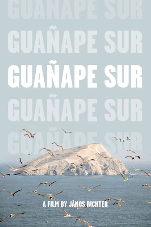 Guañape sur poster