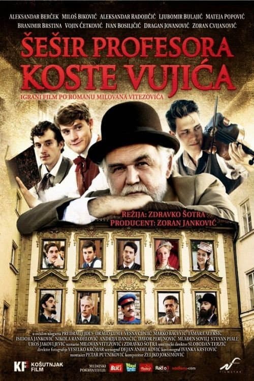 Professor Kosta Vujic's Hat (2013) poster