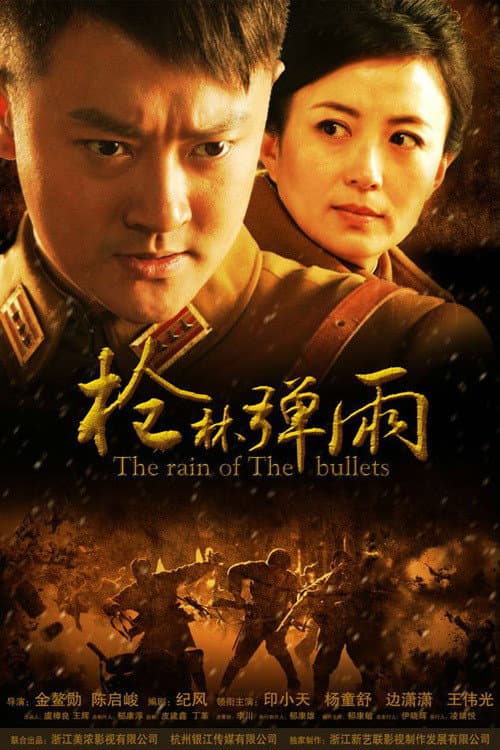 枪林弹雨 (2012) poster