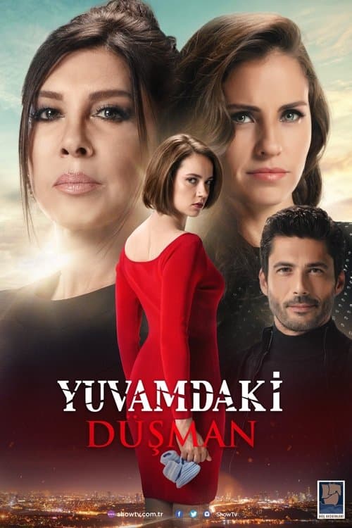 The Enemy in My House (2018) poster