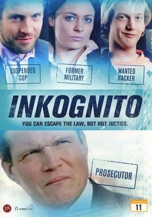 Inkognito (2013) poster
