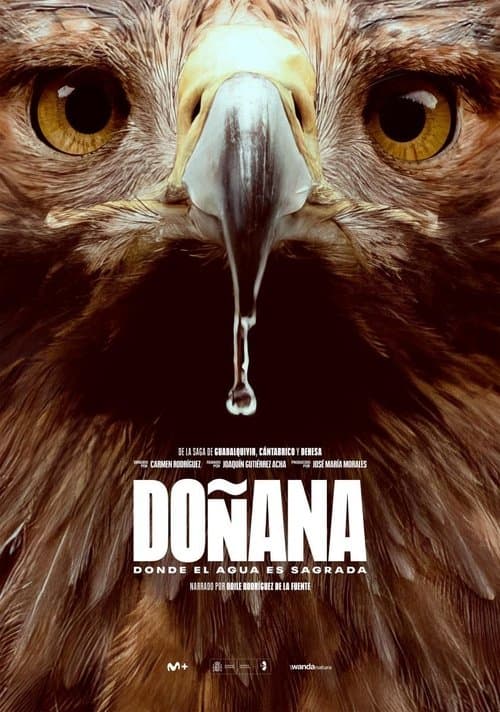 Doñana (2025) poster