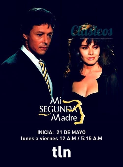 Mi segunda madre (1989) poster