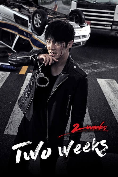 Two Weeks (2013) poster