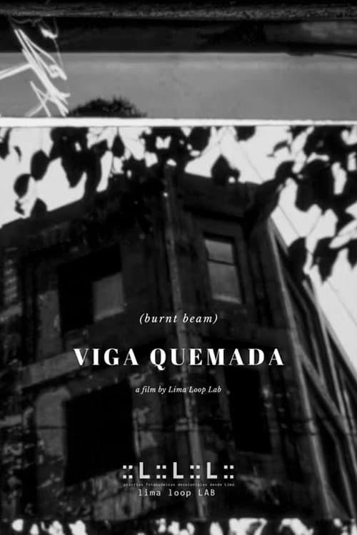 Viga Quemada (2026) poster