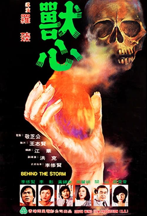 Behind the Storm (1982) poster