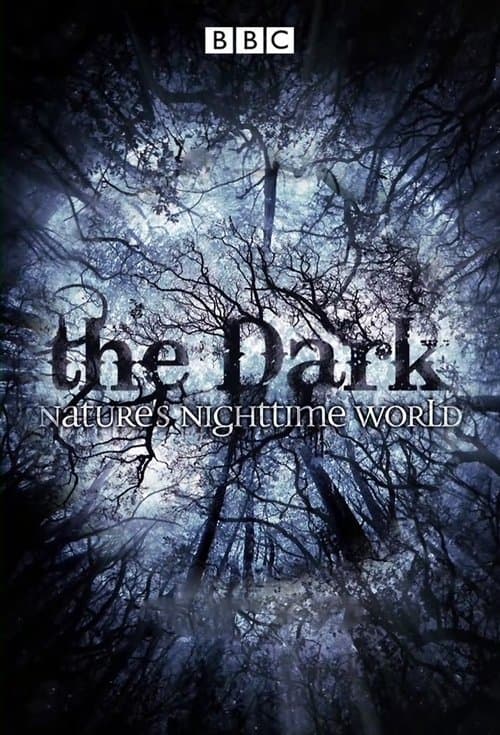 The Dark: Nature's Nighttime World (2012) poster