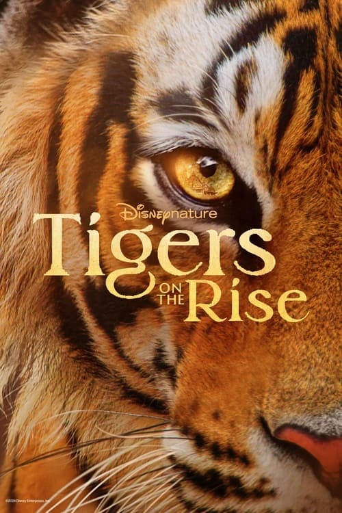 Tigers on the Rise (2024) poster