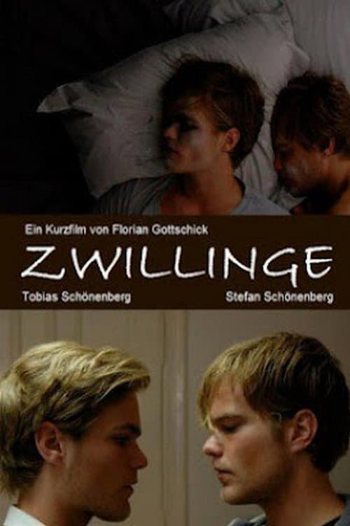 Twins (2010) poster
