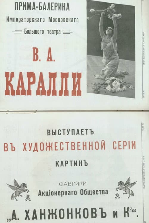 Chrysanthemums (1914) poster
