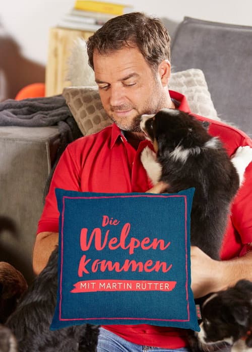 Martin Rütter - Die Welpen kommen (2019) poster