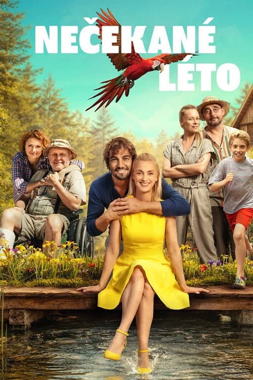 Nečekané léto (2026) poster