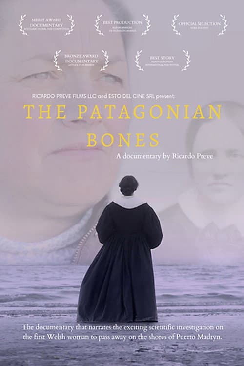 The Patagonian Bones (2015) poster