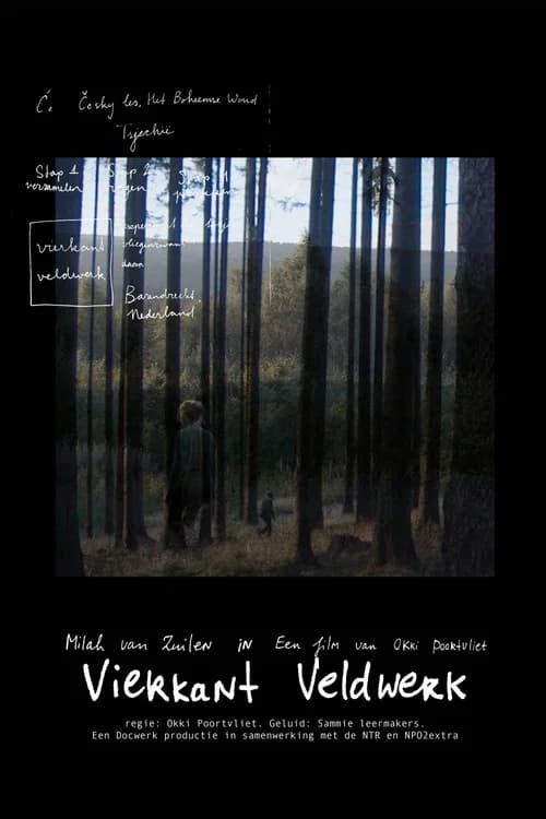 Square Fieldwork poster