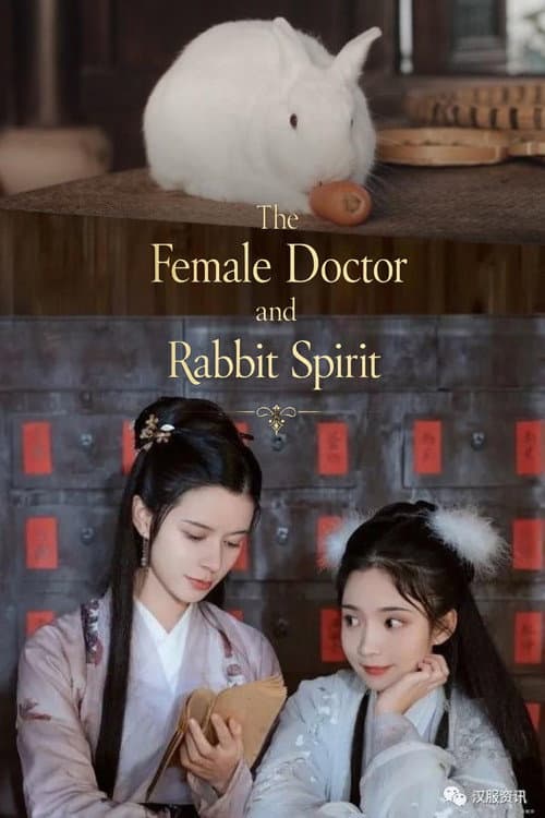 The Female Doctor and The Rabbit Spirit (2020) poster