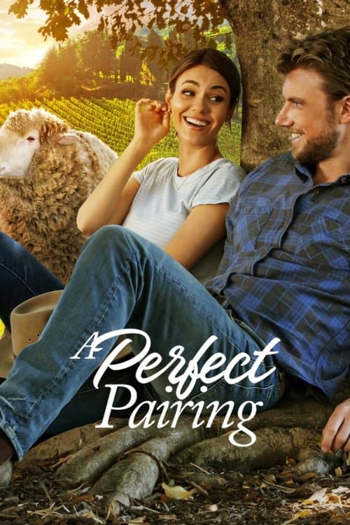 A Perfect Pairing (2022) poster