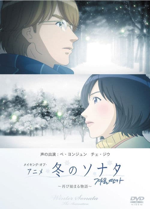 Winter Sonata (2009) poster