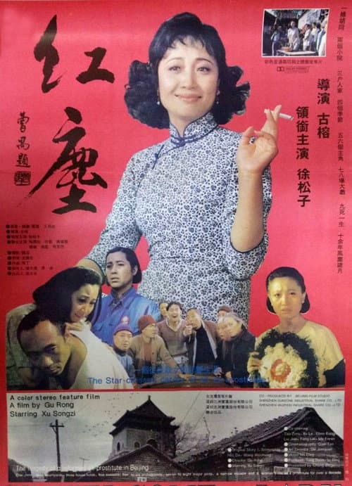 Unwelcome Lady (1994) poster