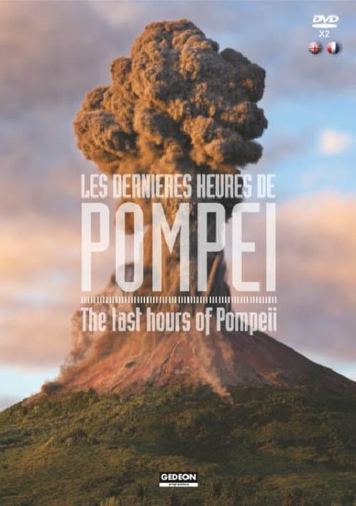 The Last Hours Of Pompeii (2020) poster