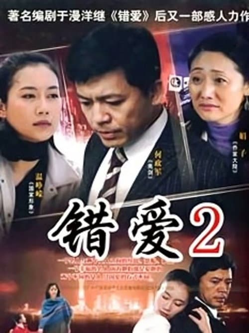 错爱2 (2009) poster