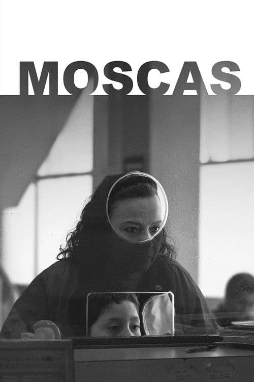 Flies (2026) poster