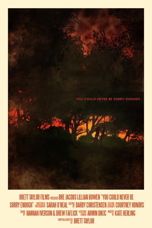 You Could Never Be Sorry Enough (2020) poster