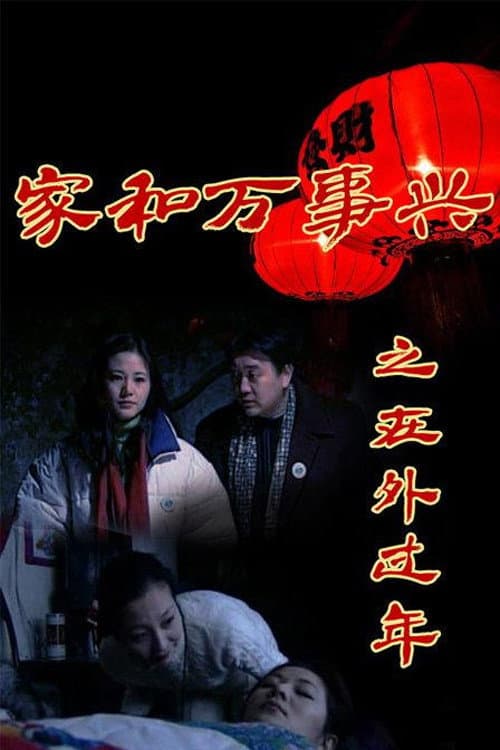家和万事兴之在外过年 (1999) poster