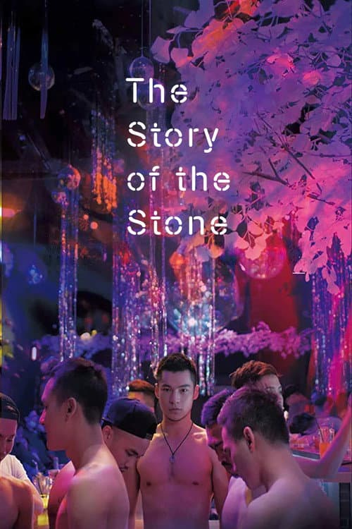 The Story of the Stone (2018) poster