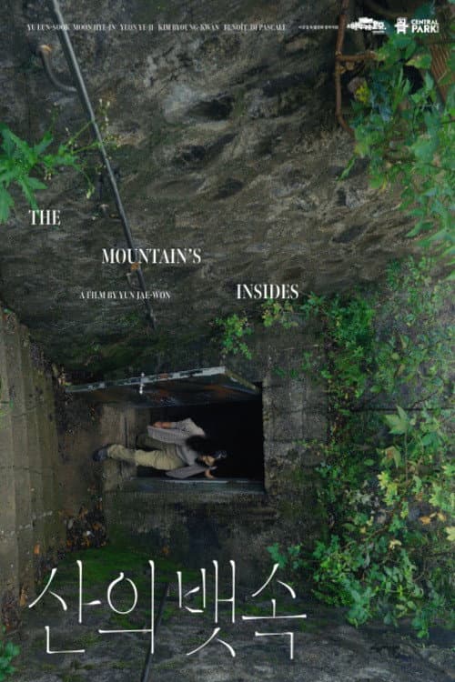 The Mountain’s Insides poster