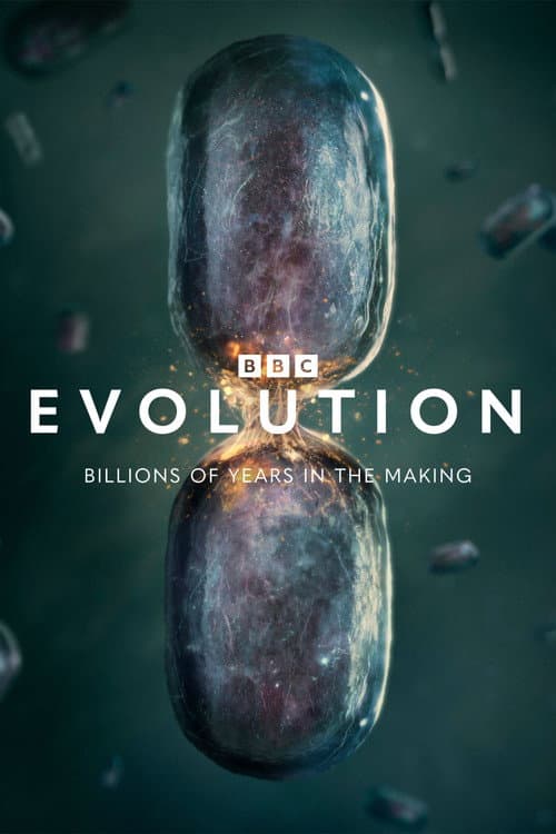 Evolution (2026) poster