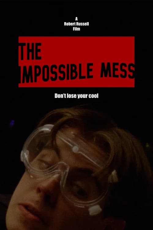 The Impossible Mess poster