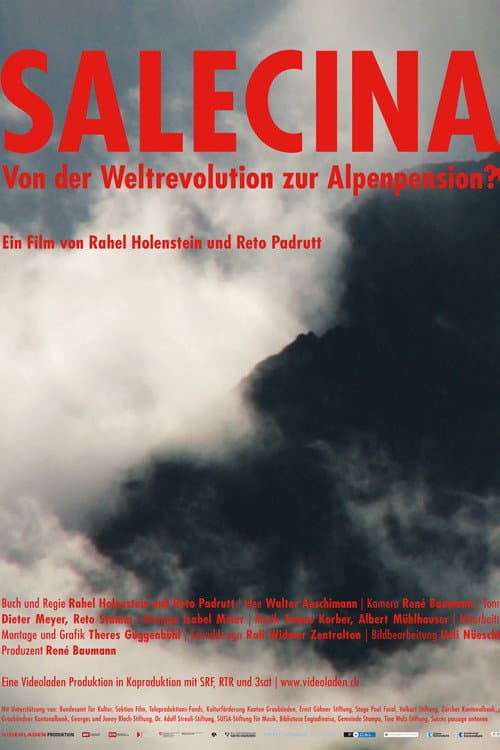 Salecina (2011) poster