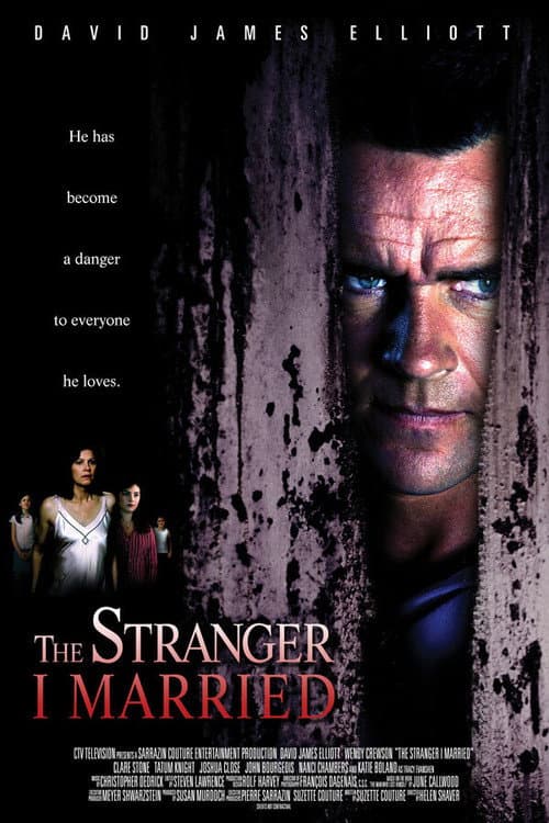 The Man Who Lost Himself poster