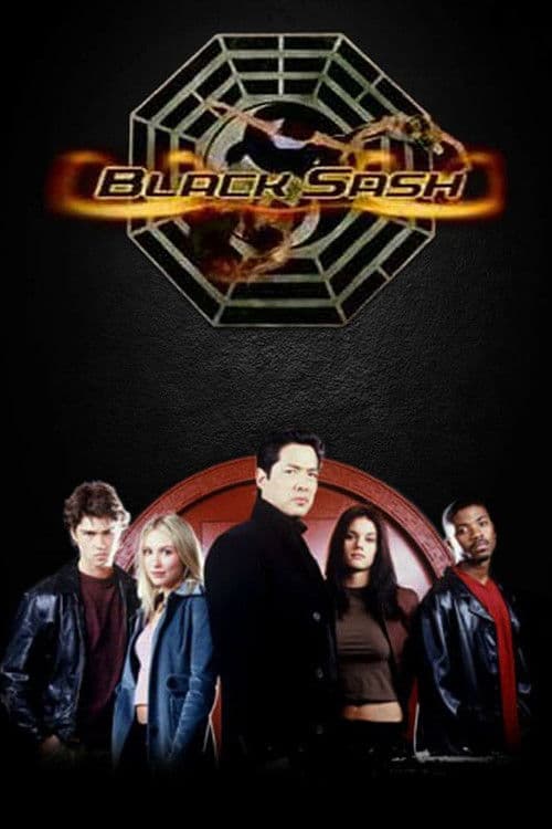 Black Sash (2003) poster