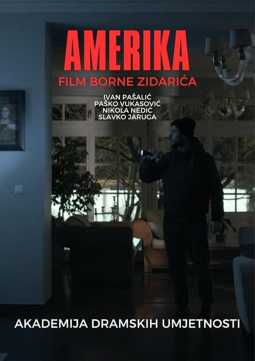 America (2020) poster