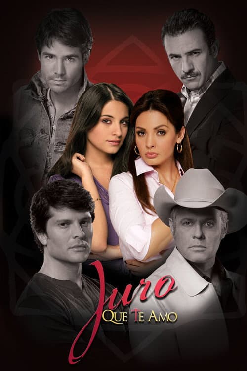 Oath of Love (2008) poster