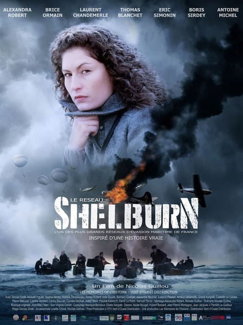 The Shelburn Network (2020) poster