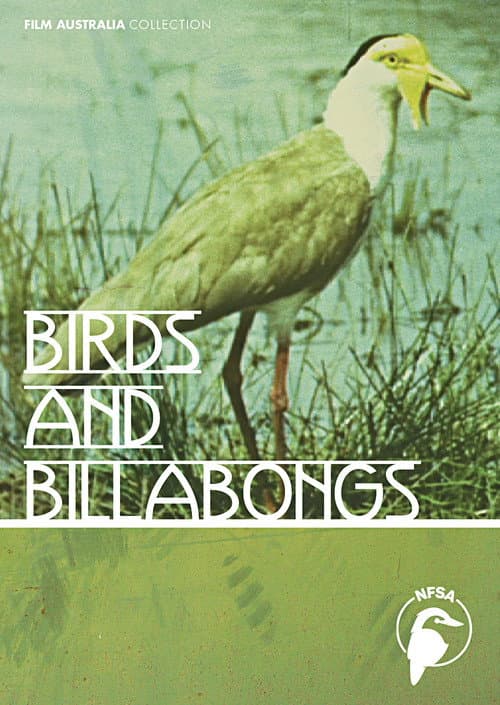 Birds and Billabongs poster