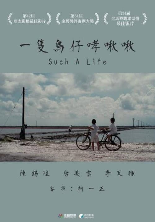 Such a life (1997) poster