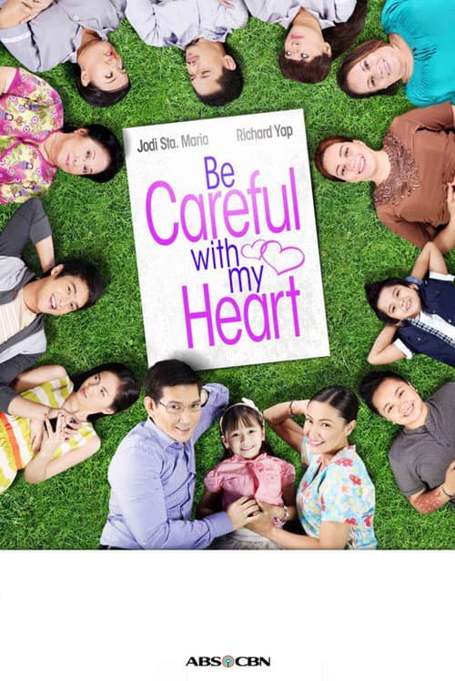 Be Careful With My Heart (2012) poster