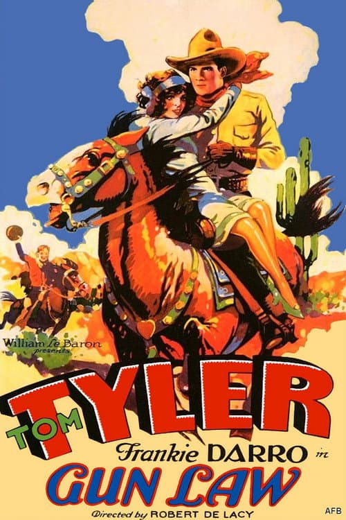 Gun Law (1929) poster