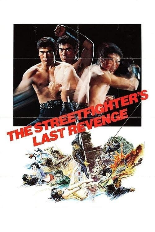The Street Fighter's Last Revenge (1974) poster
