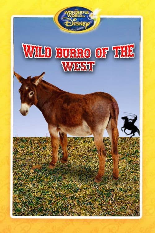 Wild Burro of the West (1960) poster